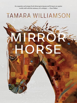 cover image of Mirror Horse